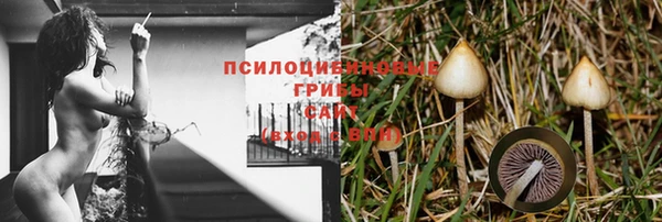 СК Магадан